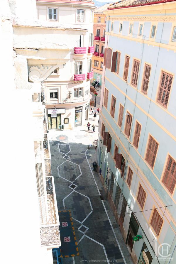 Larios Cool Vandrarhem Málaga